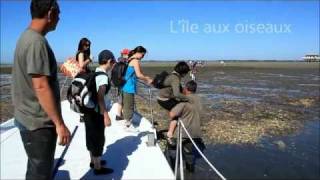 Lîle aux oiseaux  Bassin dArcachon [upl. by Lynnworth]