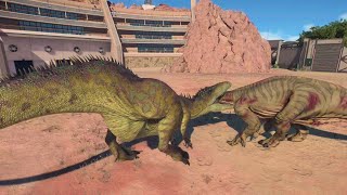 Carcharodontosaurus Hunts Iguanodon in JURASSIC WORLD EVOLUTION 2 4K gaming [upl. by Madelaine130]