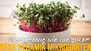 Die genialste Art Microgreens zuhause zu züchten Mikrogarten Denk Keramik [upl. by Bumgardner988]