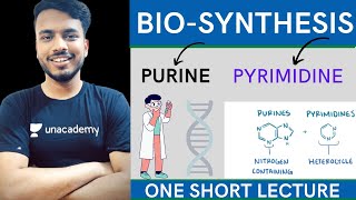 biosynthesis of purine and pyrimidine nucleotides  purine and pyrimidine synthesis biochemistry [upl. by Babs]