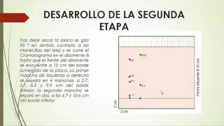 Video Cromatografia Fina Trab Col 1 [upl. by Winnah929]