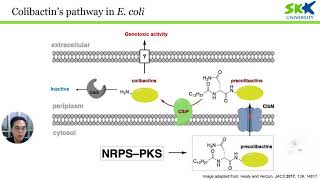 성균관대학교 김충섭Colibactin a human microbiomederived genotoxin that induces DNA crosslinking [upl. by Naneek]