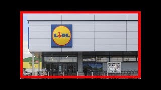 Angebot beim DiscounterBahntickets bei Lidl Ab Oktober günstig mit dem ICE fahren [upl. by Ardnuhsed]