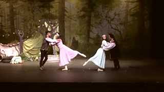 quotThe Dreamquot Ballet [upl. by Barmen]