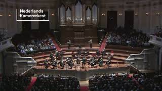 Overture to the Sun  Nederlands Kamerorkest o l v Alejandro [upl. by Newlin]