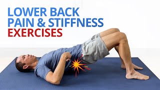 INSTANT RELIEF from Lower Back Pain and Stiffness 4 EASY Exercises [upl. by Dahaf]