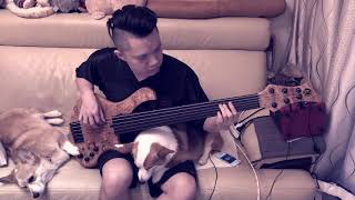 Obscura Diluvium Ekpyrosis Fretless bass cover [upl. by Berna]