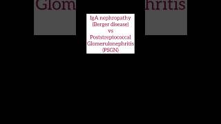 IgA Nephropathy Vs Poststreptococcal Glomerulonephritis  Microlearning highyield medicalmcqs [upl. by Yrogerg]