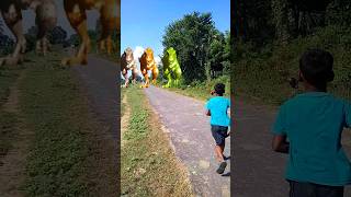 Big dinosaur chase trex chasing part450 shorts dinosour youtube dinosourus youtubeshorts [upl. by Thordis]