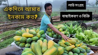 আজকে ১৫০ কেজি পেঁপে আর ৩০ পিছ লাউ বিক্রি করলাম I পুরোটা দেখুন ভিডিও তে papaya bottlegourd farmer [upl. by Nnylg]