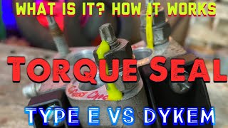 Torque Seal  Marking Paste What is it and how does it work Dykem Torque Seal Vs Type E Test [upl. by Merriam374]