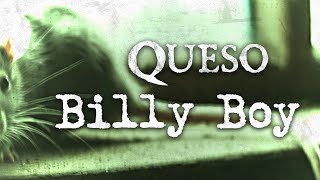 Queso  Billy Boy OFFICIAL LYRIC VIDEO [upl. by Tezile978]