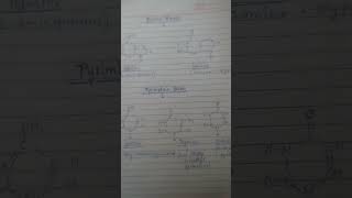 Nucleotides Nitrogenous bases with chemical structure Nitrogenous Bases [upl. by Aedrahs]