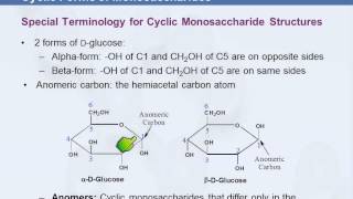 3B 710 Cyclic Forms of Monosaccharides [upl. by Cirnek38]