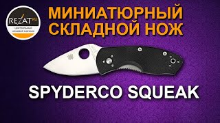 Миниатюрный складной нож EDC Spyderco Squeak 154PBK  Обзор от RezatRu [upl. by Bella498]