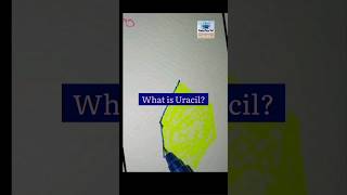 what is Uracil shorts rna genetics microbiologyviral [upl. by Marguerite]