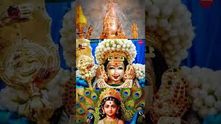 Part 2 முருகனுக்கு அரோகரா🙏🙏  Murugan Songs  Tamil Kadavul  shortvideo shortsfeed [upl. by Naliorf]