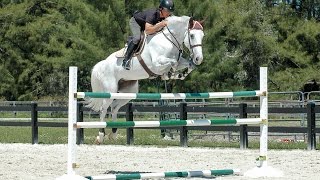 Horse Jumps ProTips  RideACourse with Todd Minikus [upl. by Goss]