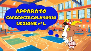 ATTIVITÀ FISICA E CUORE LEZIONE 4 [upl. by Bramwell]