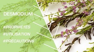 Comment utiliser le desmodium   Phytothérapie [upl. by Nidla]