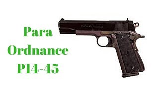 ParaOrdnance P1445 Overview [upl. by Anirat930]