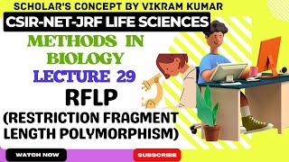 RFLP Restriction Fragment Length Polymorphism  Methods in Biology [upl. by Aicnelev]