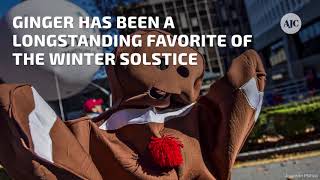 VIDEO 6 littleknown facts about winter solstice [upl. by Vito659]