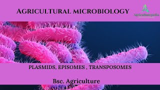 Plasmids Episomes Transposons Best explanation in hindi and english [upl. by Eneluqcaj962]