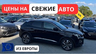 СВЕЖИЕ Авто из Европы Обзор ЦЕН Сентябрь [upl. by Dlared]