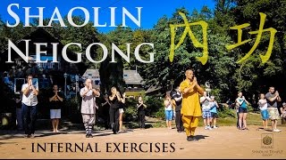 Shaolin Neigong 內功 · Internal exercises [upl. by Danna288]