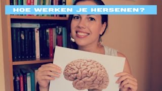 Hoe werkt je brein voor beginners [upl. by Airec]