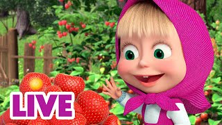 🔴 ПРЯМОЙ ЭФИР LIVE Маша и Медведь 👱‍♀️🐻 Сладко жить не запретишь 🍓🍒 [upl. by Tatman]