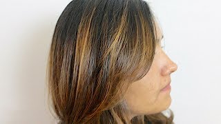 Brunette Balayaged Highlights  Beginner Hand Painted Color  Daniella Benita [upl. by Dame]