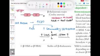 Beta thalassemia major haematology 34 First Aid USMLE Step 1 in UrduHindi [upl. by Amer]