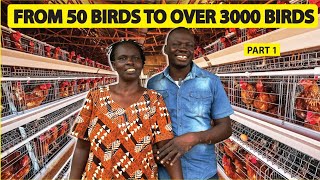 From a side hustle To a commercially successful poultry farm Now with over 3000 birds [upl. by Adorne293]