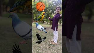 Rounding Ball Crow Pigeon Parrot Peacock amp VFX Magic 🪄 Video kidssong viralvideo rhymes short [upl. by Nawor]