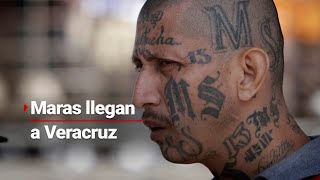 Maras asaltan con MACHETES en Veracruz  Escapan de El Salvador y están el Coatzacoalcos [upl. by Tybalt]