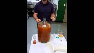 Making Hard Cider  Checking the PH and adding Campden Tablets to Hard Cider [upl. by Wil308]