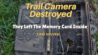 Who Destroyed My Trail Camera [upl. by Aelak]