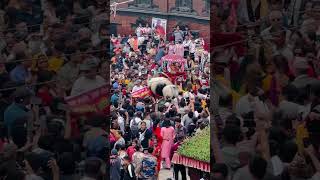 Gai jatra 2081  Basantapur architecture culture religion [upl. by Decamp412]