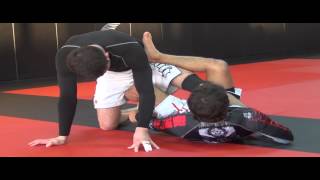 Butterfly Sweep to Leg Drag  No Gi with Robson Moura [upl. by Maze]