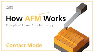 Contact Mode  How AFM Works  Principle of Atomic Force Microscopy [upl. by Winna]