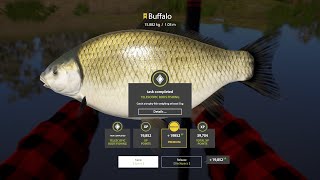 ACTIVE TROPHY BAFFALO SPOT TELESCOPIK FISHING russianfishing4 rf4 athubariver rf4tutorial [upl. by Nahsab73]