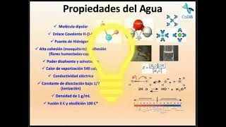 Sesión 05 Agua y electrolitos I [upl. by Utas]