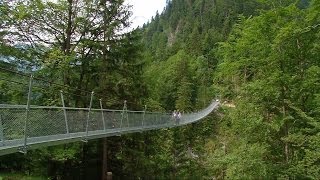 Eine Hängebrücke zur Alp Leiternweide im Simmental [upl. by Yennek936]