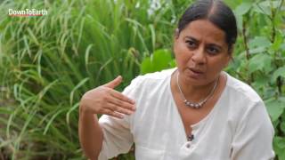 Importance of permaculture for Indian agriculture [upl. by Martha856]