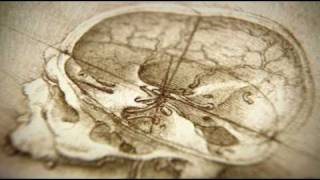 Part 1 of 2 BBC  The Beauty of Diagrams Vitruvian Man [upl. by Feldt501]