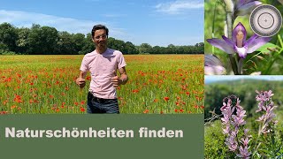 Naturschönheiten suchen und finden Brennender Busch Heimische Orchideen uvm [upl. by Mccormac340]