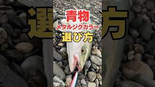 青物メタルジグのカラー選び方‼️釣り海釣り魚釣り釣り初心者 釣り人釣魚釣具ルアーフィッシングルアー釣り釣り好き青物 青物釣り ブリ ブリ釣り VOICEVOX春日部つむぎ [upl. by Goulet]