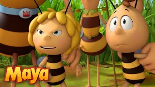 TODAS LAS VECES que Maya ha DEFENDIDO A WILLY 🐝❤️ MEJORES CAPÍTULOS DE MAYA en ESPAÑOL 🐝 [upl. by Isteb]